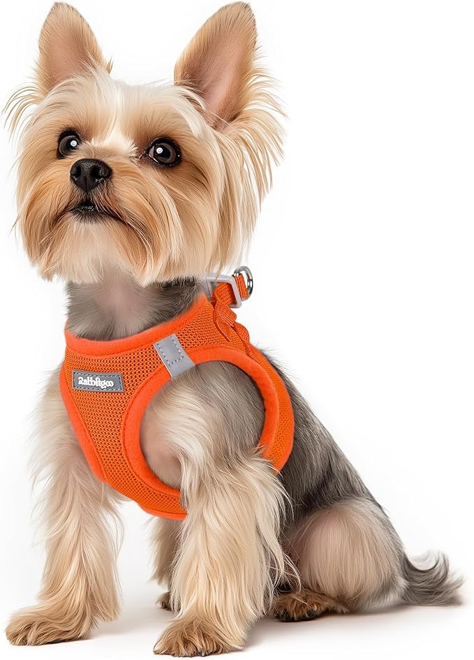 rabbitgoo Small Dog Harness, Step-in Soft Mesh Puppy Vest with Safety Buckle, Breathable Reflective Pet Harness for Small Sized Dogs, Orange XS