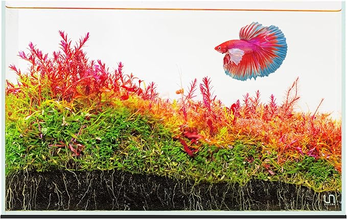 UNS Ultra Clear Rimless Tank - 9.3GAL | 35.2L - 17.71x11.02x11.02 | 45x28x28 CM, 5mm Glass Thickness, Leveling Mat Included - Low Iron, High Clarity Fish Tank w/ 45° Mitered Edge - [45U]