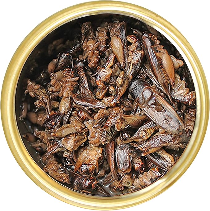 Canned Crickets (1.2 oz.) - Healthy High Protein Insect Treat - Hedgehogs, Sugar Gliders, Reptiles, Wild Birds, Chickens, Lizards, Bearded Dragons, Skunks, Opossums, Fish, Amphibians, Turtles