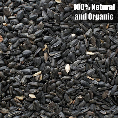 Wildlife Black Oil Sunflower Seeds for Birds and Wildlife, Non-GMO & USA Grown on Small Farms (25 lbs)