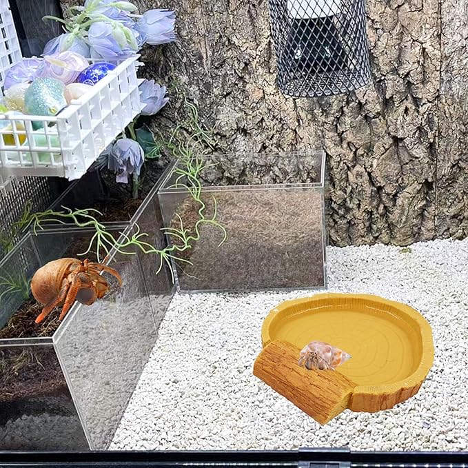 Hermit Crab Pool, Resin Reptile Water Bowl & Bathing Dish, Aquarium Tank Cage Habitat Accessories for Small to Medium Hermit Crab Turtles Lizard Frog Gecko Bearded Dragon