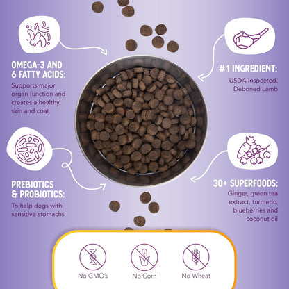 Health Extension Lamb & Brown Rice Dry Dog Food, Protein Packed Formula with Probiotics & Superfoods for Digestion & Coat Health (4lb)