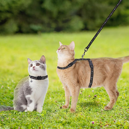 PAWCHIE Cat Harness with Leash and Collar Set - Escape Proof Adjustable Glow in The Dark Cat Harness for Kitty Outdoor Walking