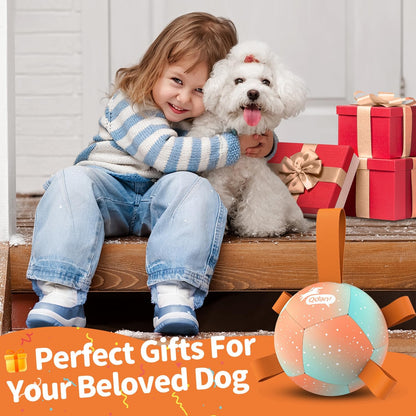 QDAN Small Dog Balls: Dog Soccer Ball with Straps- Premium Dog Toys Balls- Puppy Outdoor Dog Toys Pet Training Ball Birthday Gifts for Small Dogs- Rainbow Orange (5 Inch)