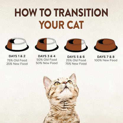 Wellness CORE Signature Selects Shredded Adult Wet Cat Food, Natural, Protein-Rich, Grain Free, 5.3 Ounce, 12 Pack (Chicken & Turkey)