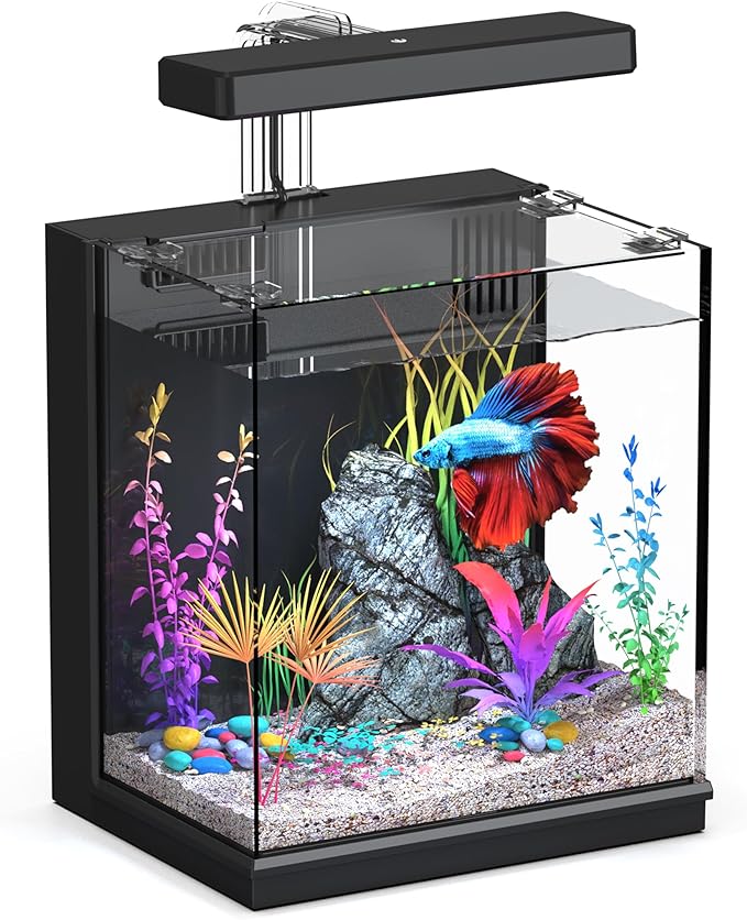 Betta Fish Tank, 2 Gallon All-in-One Aquarium Kit with Filtration & LED Light, Self-Cleaning Aquarium for Beginners, Kids, Desktop Bowl for Home, Office, or Kids Room
