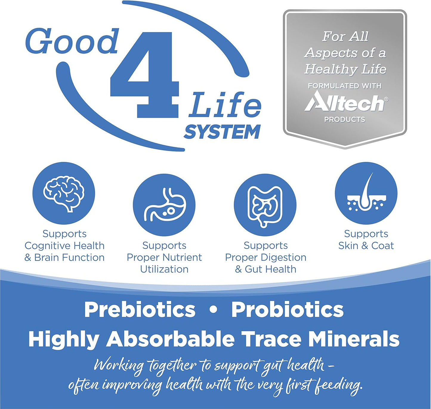 NutriSource Cat & Kitten Food, Made with Chicken Meal, Salmon and Liver, with Wholesome Grains, 16LB, Dry Cat Food