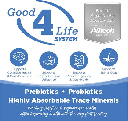 NutriSource Cat & Kitten Food, Made with Chicken Meal, Salmon and Liver, with Wholesome Grains, 16LB, Dry Cat Food