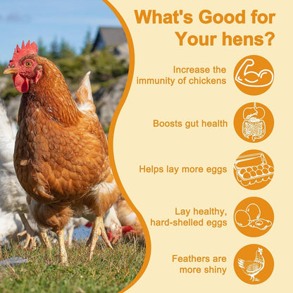 BSF Larvae 85X Calcium Than Dried Meal Worms 20LB(10lbx2) for Chicken Feed - Bulk Black Soldier Fly Larvae Poultry Treats - BSF Grubs Non-GMO Food High Protein Meal Worms for Hens,Wild Bird