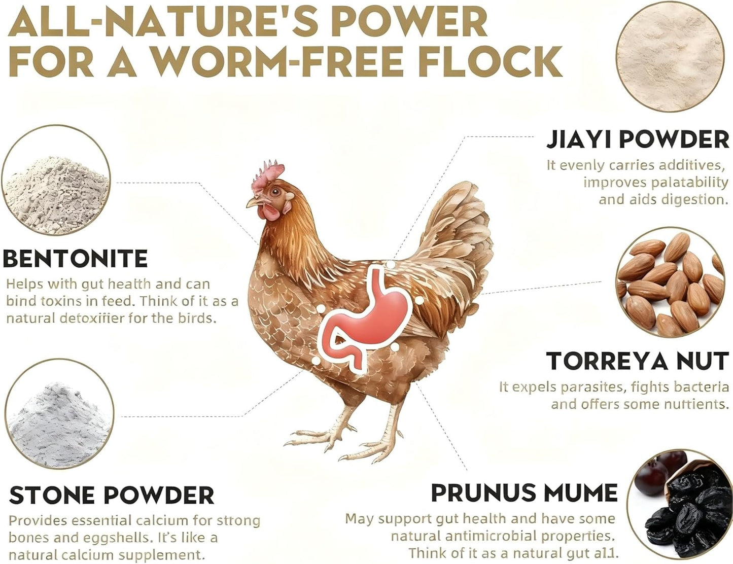 Natural Chicken Dewormer Powder - Chili Flavor | All-Natural Poultry Worm Treatment for Hens & Birds | Easy-Mix Feed Supplement | Safe for Eggs | No Withdrawal (1LB Pouch)