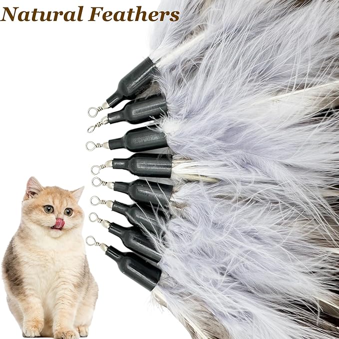 Cat Feather Toy Refills, 8 Pieces Natural Da Bird Feathers Refills, Cat Wand Replacement Feathers for Cat Toys