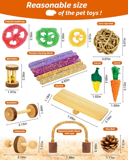 Hamster & Guinea Pig Toys - 18 Pcs Wooden Small Animal Chew Toys for Teeth - Rabbit, Chinchilla, Gerbils, Rats Exercise Accessories