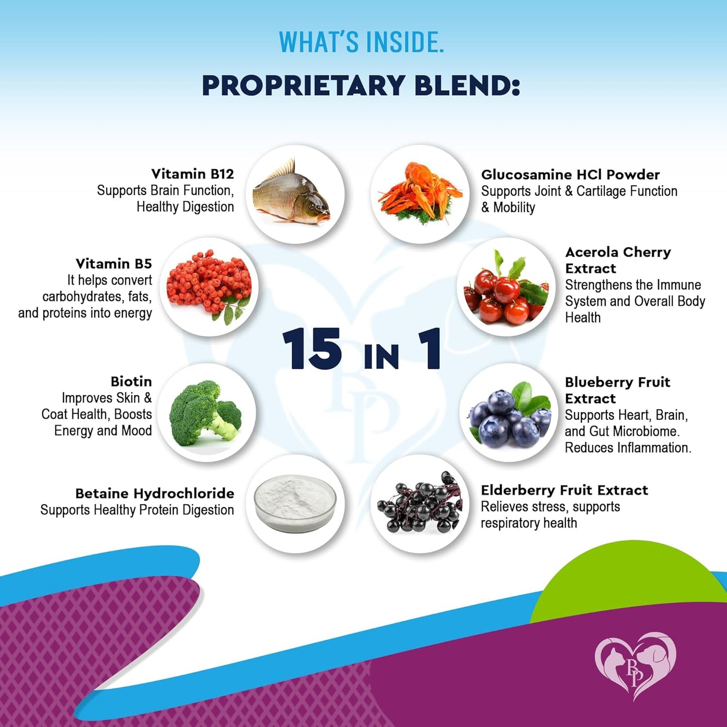 Cat & Dog Multivitamin Liquid with Glucosamine & Cranberry | 15 in 1 Health Supplements for Urinary Tract Kidney, Bladder, Hip & Joint, Skin & Coat | Natural UTI Medicine Made in USA (60 ml)