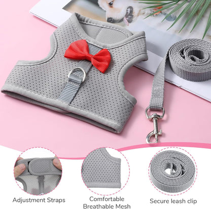 Bunny Harness and Leash Set, Cute Bow Rabbit Vest Soft Breathable Mesh Rabbit Leash and Harness Set Escape Proof Walking Gear for Rabbits, Ferrets, Kittens, Guinea Pigs, Grey M