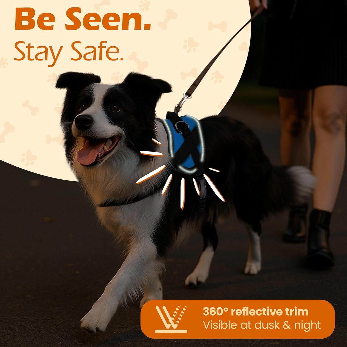 Bark Appeal Aqua Blue No-Pull Dog Harness for XS to Small Sized Pets – Adjustable, Reflective Vest with 3 Leash Clips for Added Control, Easy Walks & Training – Small