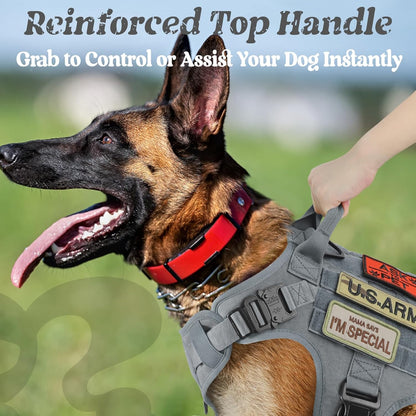 rabbitgoo Tactical Dog Harness Medium Sized, Heavy Duty Pet Harness with Handle, No-Pull Service Vest Medium Breed, Adjustable Military Dog Vest for Training Hunting Walking, Grey, M
