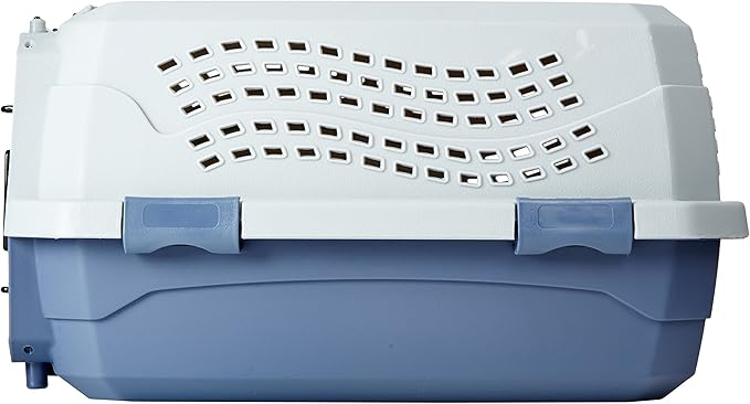 Amazon Basics 2-Door Top-Load Hard-Sided Cat Pet Travel Carrier, 19.0" L x 12.6" W x 10.0" H, Gray & Blue