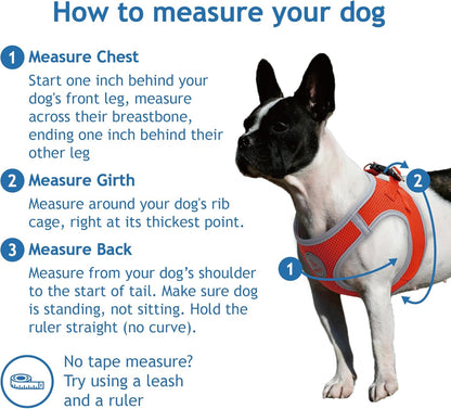 DOCO Dog Harness for Large Sized Dog - Athletica Adjustable, No Pull, No Choke, Puppy Vest Lightweight Air Mesh, Reflective, Puppy Essentials – Red, Medium (Chest 16"-17", Weight 10–15 lbs)