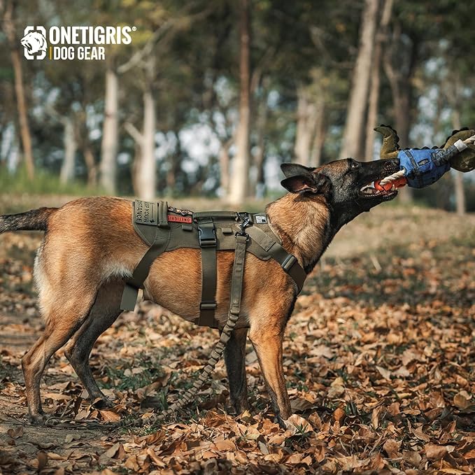 OneTigris Escape Proof Dog Harness, No Pull Dog Harness with Handles, Tactical Multi-Use Support Dogs Harnes for Large Dogs Everyday Wear Walking Hiking Training (Green, Large)