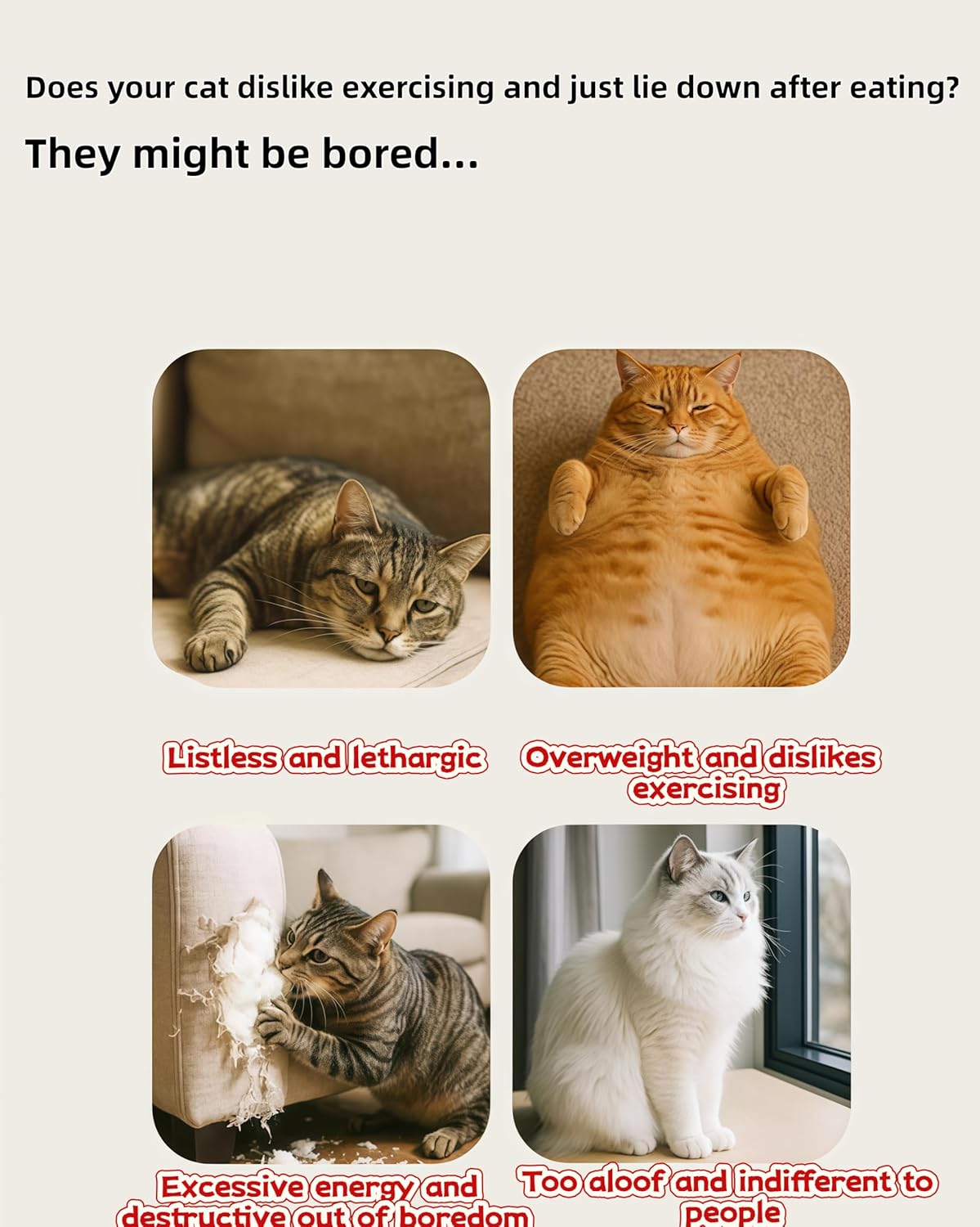 Interactive Cat Scratch Box with Nail File & Slow Feeder - Puzzle Enrichment Toy for Indoor Cats Mental Stimulation