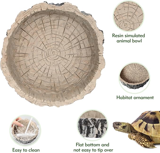 Small Reptile Food Dish 2 Packs Reptile Feeding Food Bowl Novelty Foods Bowl Lizard Reptile Water Bowls Dish Gecko Lizard Spider Scorpion Chameleon