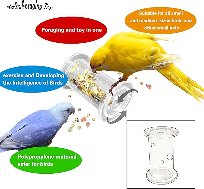 Bird Foraging Toys,Parrot Training Toys,Parrot Interactive Toys to Increase Feeding Time, Bird Enrichment Toys for Small and Medium Parrots,Cockatiel,Parakeet,Conures,Budgie,(Random color for gitfs)