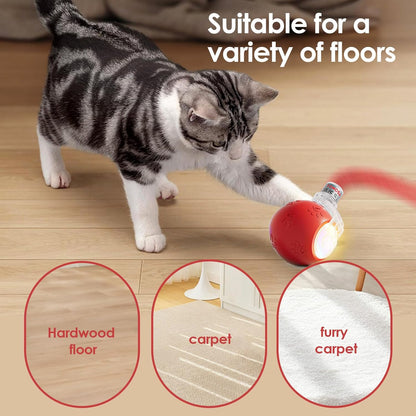 Interactive Cat Toys for Bored Indoor Cats - Motion Activated, RGB Lighting, 2 Speed Settings & 3 Modes - for Cats & Kittens!