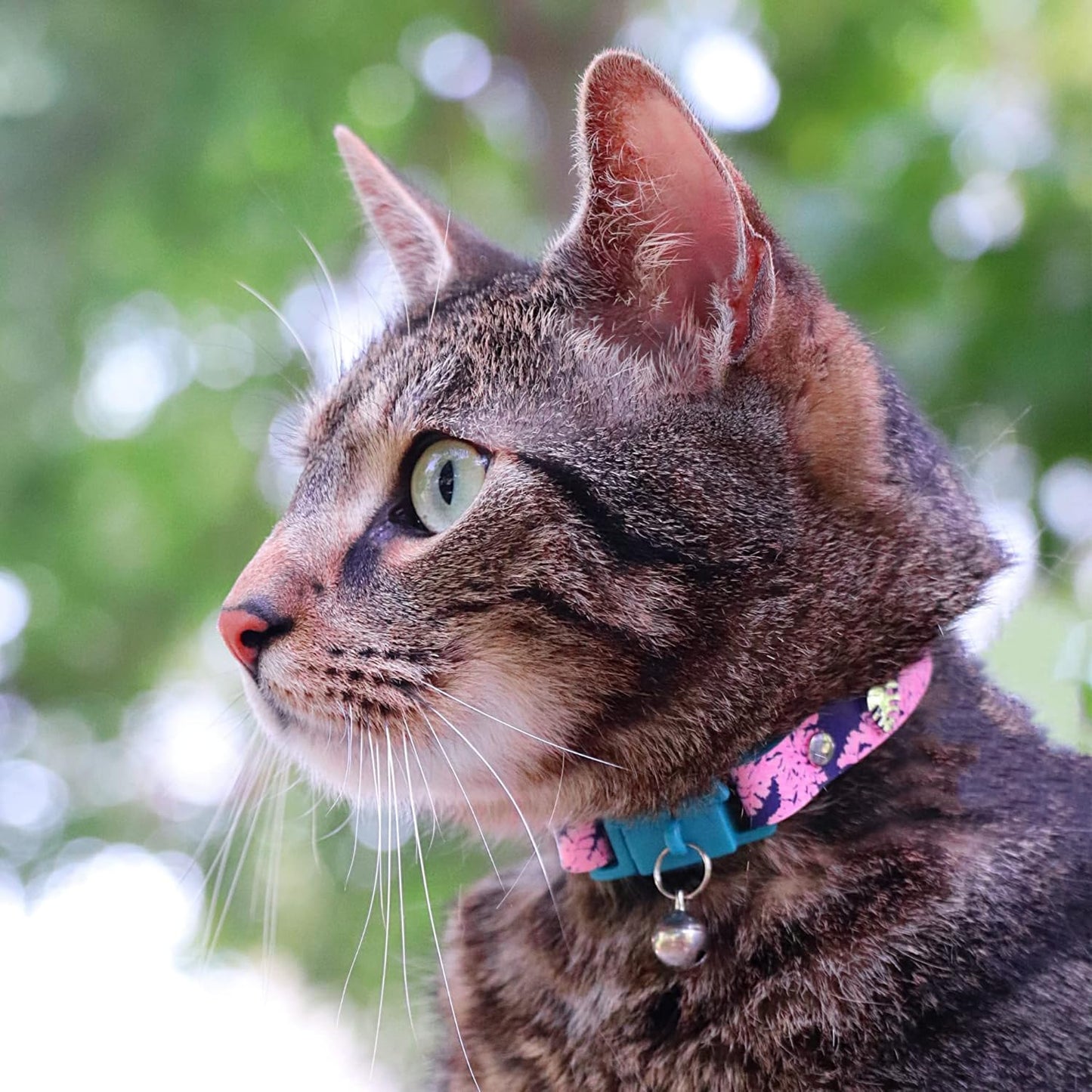 Kittyrama Botanicals Fern Cat Collar. Award Winning. Hypoallergenic, Quick Release Breakaway, Comfy & Soft. Vet Approved. Other Styles Available