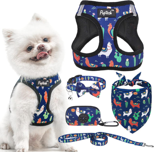PUPTECK Adjustable Dog Harness Collar and Leash Set, Step in No Pull Pet Harness for Small Medium Dogs Puppy Cats Outdoor Walking, Soft Mesh Padded Reflective Vest Harnesses, Navy Blue Alpaca, XXS