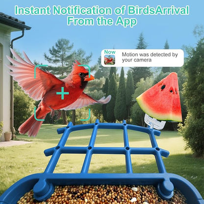 Smart Bird Feeder with Camera,AI Identify Birds Species,Auto Record 2K Birds Video in Backyard Garden,Live View,Instant Notifications，Solar Powered Charging,Ideal Gift for Family and Bird Lovers