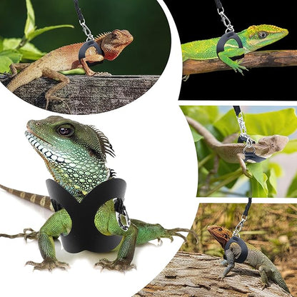 Bearded Dragon Harness and Leash Set, 3-Size Adjustable Soft Leather Reptile Leash for Training & Walking, Lizard Harness with Traction Rope, Walking Vest for Small Animal Outdoor, Black