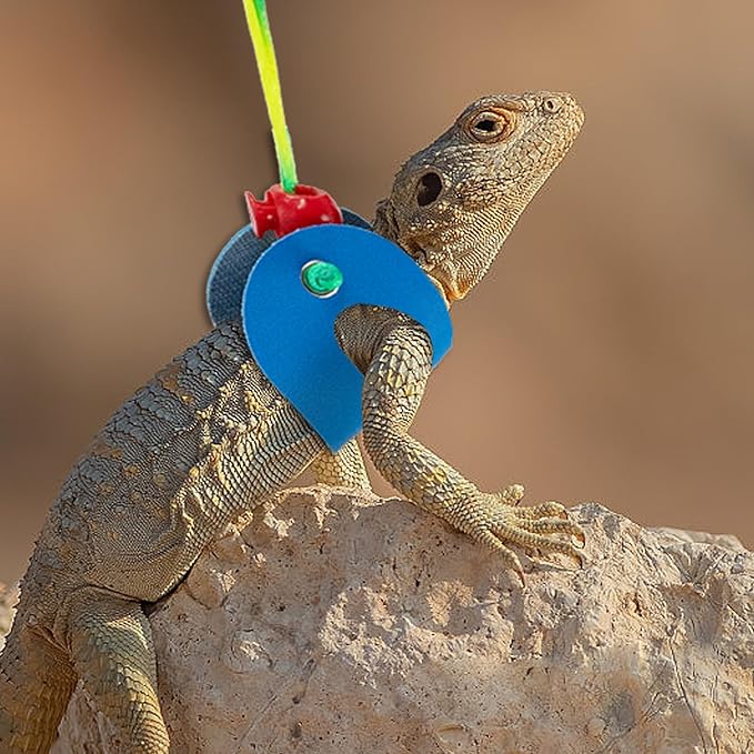 AIITLE Multi-Size Bearded Dragon Leash - Comfortable Adjustable Harness for Reptiles & Small Animals (Outdoor Walks, Pet Events), Blue