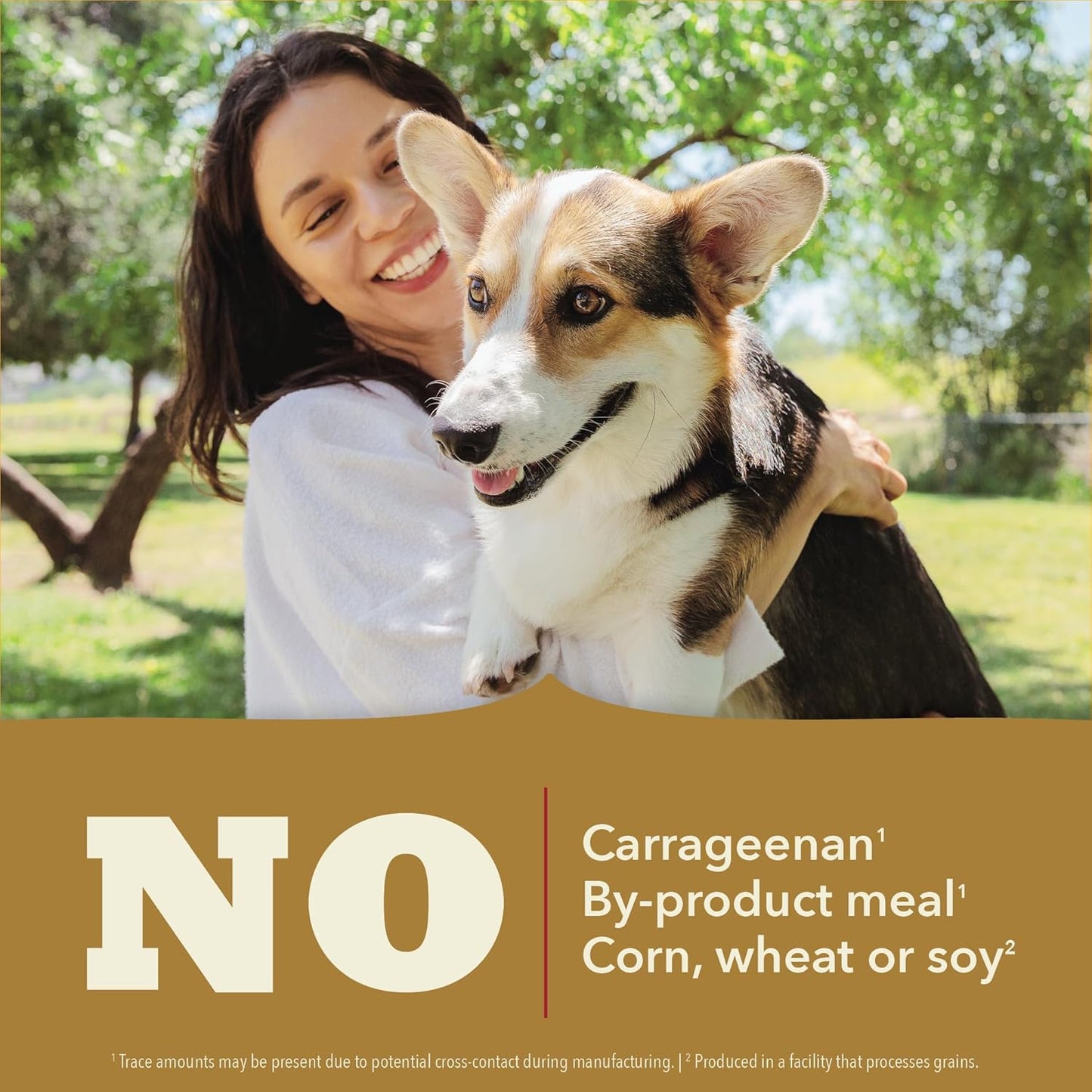 ACANA Classics Pate Wet Dog Food Chicken Recipe 12.5oz Cans (12 Count)