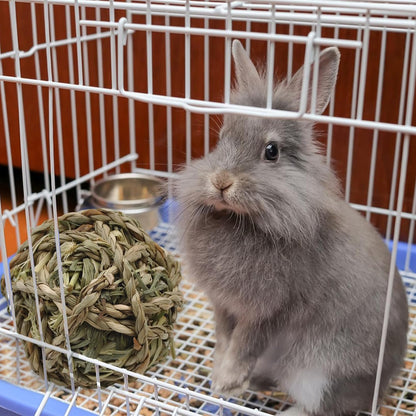 kathson 6 Pcs Rabbit Chew Grass Balls,Bunny Grass Toy Handmade Timothy Hay Ball Small Animal Treats Teeth Grinding Chews for Rabbits Chinchillas Guinea Pigs Hamsters Mice Gerbils