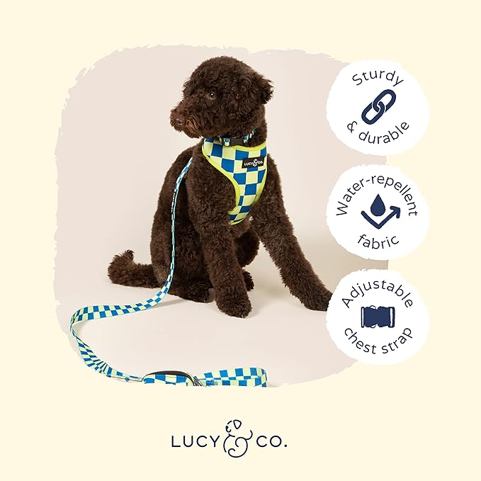 Lucy & Co. Lime Green with Blue Checker Smiley Faces Cute Reversible Dog Harness Walking Halter - Best Designer Pet Harnesses for XS - XL Dogs - Padded Adjustable Vest for Easy Walking (Medium)