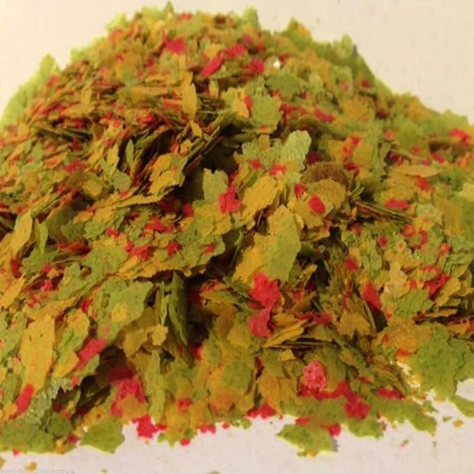 Aquatic Foods Inc. Zeigler Small Flakes with Vita-Pack for Discus, Cichlids, Guppies, Goldfish, Angel Fish,Tetras, Livebearers, Bettas, All Community Tropical Fish. Zeigler…1-lb