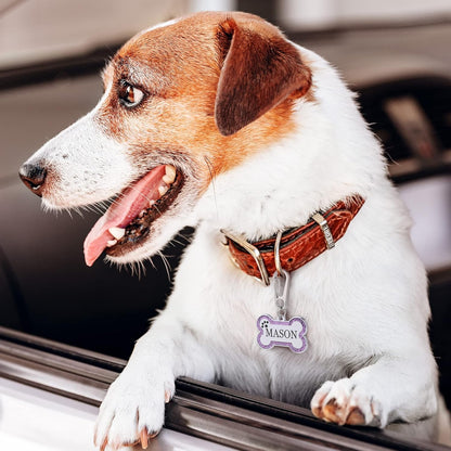 Personalized Stainless Steel Pet ID Tags with Glittery Bone Design - DEEP Engraved Dog Tags Engraved for Pets Customized with 5 Lines Dogs and Cats Pets