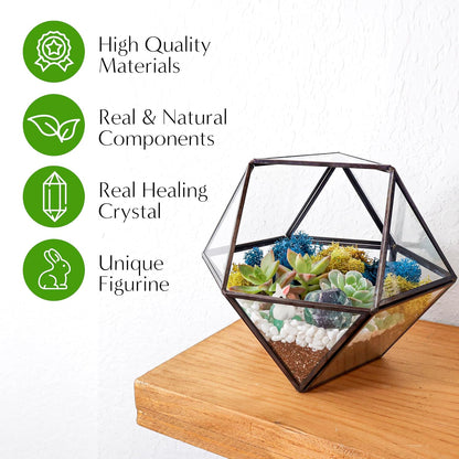 DIY 7" Geometric Terrarium Kit - Build Your Own Glass Terrarium for Adults & Kids with Moss, Crystals, Tools & Decorative Figurine - Mini Ecosystem - Handcrafted in The USA