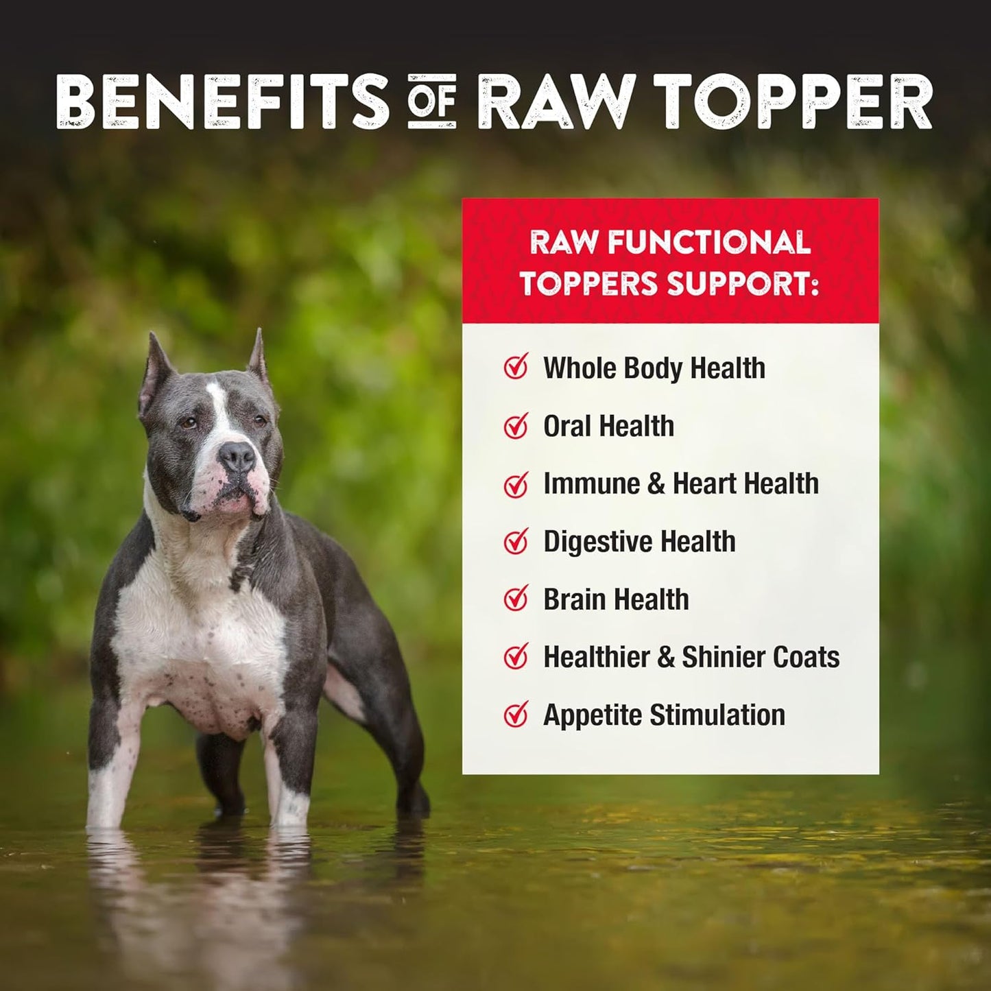 Northwest Naturals Freeze-Dried Functional Toppers - Beef Liver with Turmeric (4.5 oz), Salmon/Shiitake/Maitake Mushrooms (3.5 oz) - for Dogs and Cats, Human Grade Ingredients, All Natural