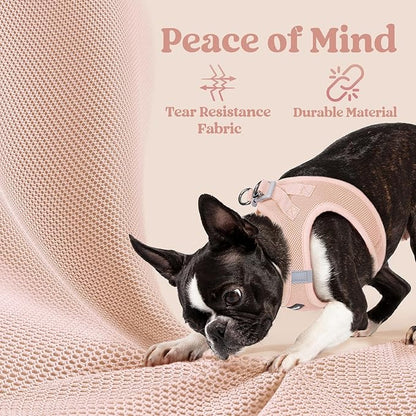 rabbitgoo Small Dog Harness, Step-in Soft Mesh Puppy Vest with Safety Buckle, Breathable Reflective Pet Harness for Extra Small Dogs, Pink XXXS