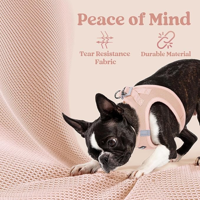 rabbitgoo Small Dog Harness, Step-in Soft Mesh Puppy Vest with Safety Buckle, Breathable Reflective Pet Harness for Small Sized Dogs, Pink XS