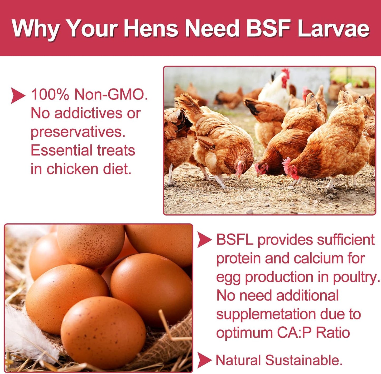 10LB Dried Black Soldier Fly Larvae for Chickens, Non GMO 86X More Calcium BSF Larvae Than Mealworms for Chickens & Birds, Natural Chicken Feed Bulk, Chicken Worms Treats, Wild Birdseed Attractant