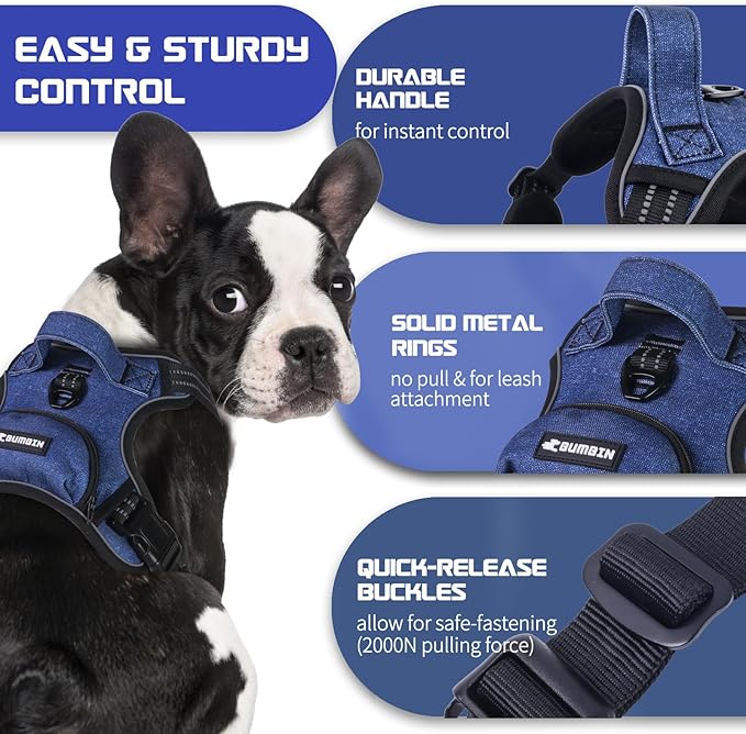 BUMBIN Dog Harness for Large Dogs, No Pull Adjustable No Choke Pet Vest with Dog Leash Fit Smart Reflective Pet Walking Harness for Training Easy Control Soft Handle Denim Blue S