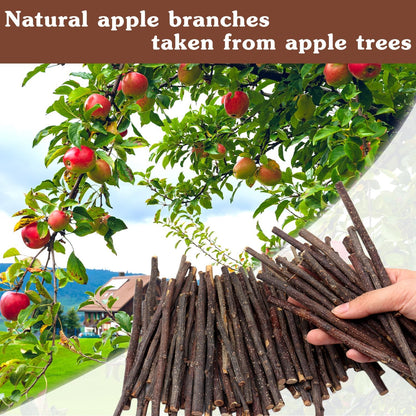 Apple Sticks,Premium Wooden Chew Stick Toys,500g Natural Apple Sticks for Guinea Pigs,Rabbits,Hamsters,Gerbils,Chinchillas and Small Rodents