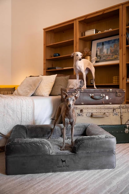 NOAH & PAW Large Dog Bed, 35x25x11 Inch, Orthopedic Dog Beds, Eggshell Memory Foam Infused with Cooling Gel, Inner Cover, Waterproof, Machine Washable (Velvet Sofa Collection)