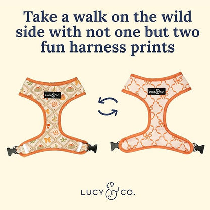 Lucy & Co. Cute Reversible Dog Harness Walking Halter - Best Designer Pet Harnesses for XS - XL Dogs - Padded Adjustable Vest for Easy Walking-Large-Orange Cream Pumpkin
