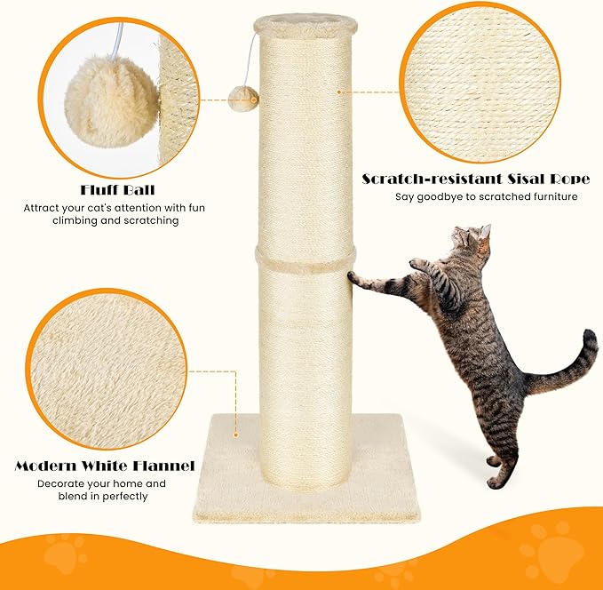 PAWSCRAT Cat Scratching Post 32 Inch High, 5.5 Inch Large Diameter Natural Sisal Cat Scratch Post, Scratch-Resistant and Durable Tall Cat Scratcher for Indoor Cats, Protect Your Furniture, Beige