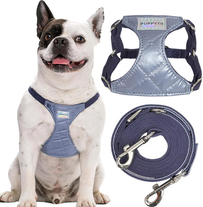 Puppytie No Pull Dog Harness with Multifunction Dog Leash,Soft Adjustable No Choke Escape Proof Pet Harness Vest for Medium Dogs,Glossy Galaxy Blue,M