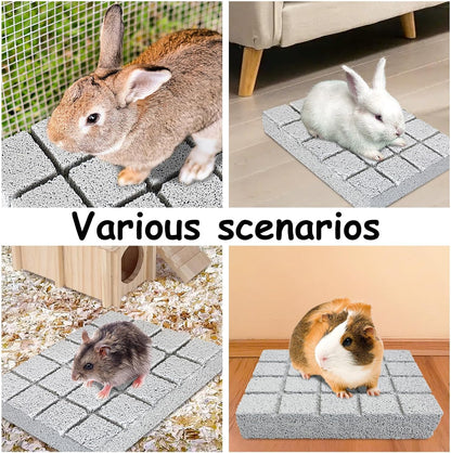 Hamiledyi 8PCS Rabbit Scratching Pads Bunny Lava Grinding Claw Pads Small Animal Foot Pads Hamster Scratch Board Chew Toys for Gerbil Chinchilla Hedgehog Guinea Pig Cage Accessories