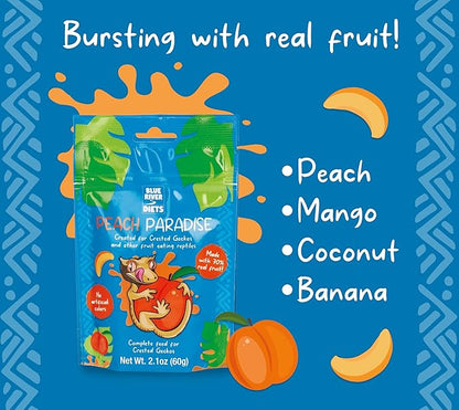 Crested Gecko Diet | Peach Paradise | All Natural Low Fat Complete Gecko Food | 2.1oz